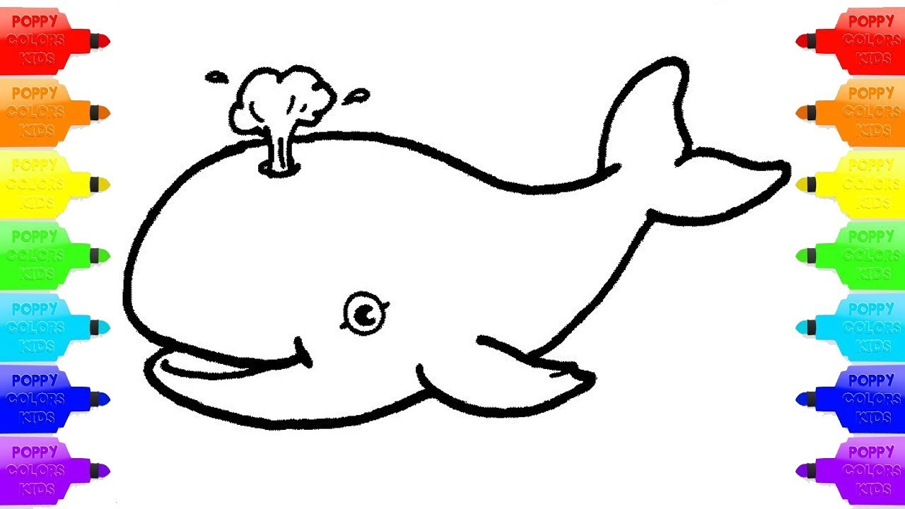 سلسلة رسم حيوانات اليفة : رسم حوت البحر للأطفال Dessiner une baleine pour  les enfants - YouTube