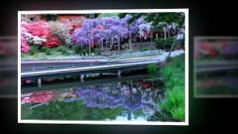 Truyện audio cùng Thol | #4 | vì sao người lương thiện cả đời phải chịu khổ