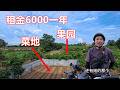 在大陆农村，年租金6000元，有菜地、果园，还有住人的房子和小院，我们非常喜欢这样的地方