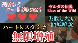 最新Verでもできる　ハート＆スタミナがすぐにカンスト！失敗しやすい部分を徹底解説【ゼルダの伝説】 screenshot 2