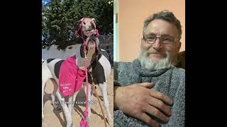 Милые животные, прекрасные моменты! #милоевидео #приятноевидео #милыеживотные #шутки #лошадисобаки