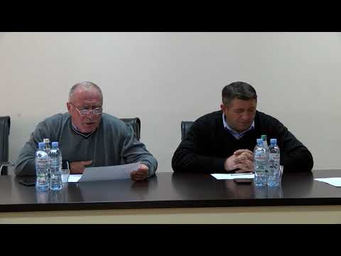 \"საკრებულოს მუშაობა ფორმალურია\" - თამუნა უჩიძე