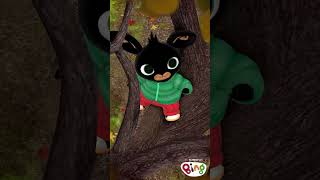 Bing climbs a tree! | #Shorts | Bing Shorts