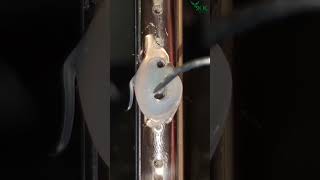 Its Interface Is Well - Designed For A Perfect Fit.