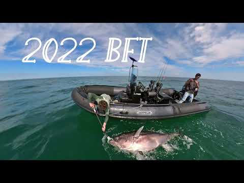 Intro 2022 BFT, tuna frenzy foamers
