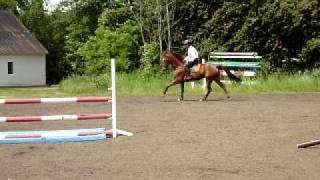 Walk On In Clinic With Vozone 1