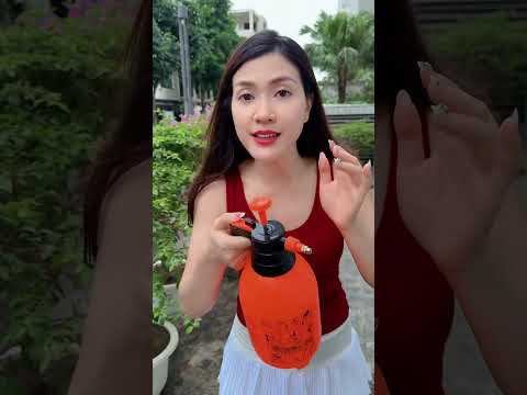 Bình Tưới Cây