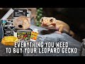 Beginner's Guide To Leopard Gecko Supplies | Tank, Heater, Light, Substrate & More