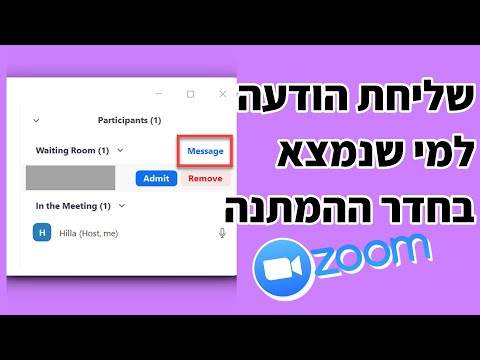 וִידֵאוֹ: גרים בחדר ההמתנה