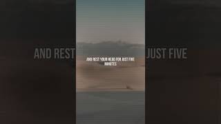 Crosby, Stills, Nash &amp; Young - Our House | Lyrics #CrosbyStillsNashandYoung #Rock #Lyrics