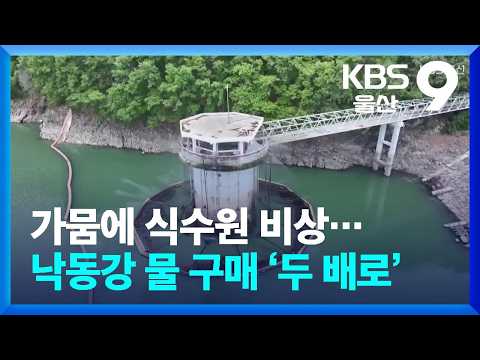 가뭄에 식수원 비상…낙동강 물 구매 ‘두 배로’ / KBS 2026.08.12.