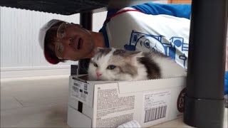 お父さんお母さん、そしてお義父さんお義母さんへ