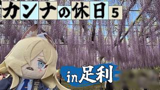 Blue Archive] Chief Kanna's Day Off #5: Ashikaga Edition - YouTube
