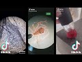 Microscope Challenge - Tiktok