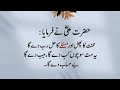 Collection of hazrat ali quotes  hazrat ali quotes in urdu  spiritual quote compilation  atif 24
