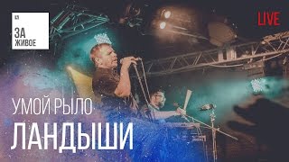 Группа Ландыши - Умой Рыло /Живой звук (live) @ "За Живое"