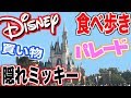 ディズニーランドを100%楽しんできた!〜メインチャンネルの動画が消えてしまったので再投稿〜
