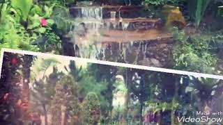 Download lagu Rumah Wisata Pakis Asri