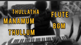 Thullatha manamum Thullum / bgm /flute/ cover