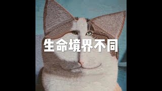 201803 生命境界不同23821