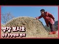 [남도지오그래피] 영감 보시오 - 곡성 능암댁의 편지 190327 by KBS광주