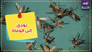 تعرف على مخاطر البعوض