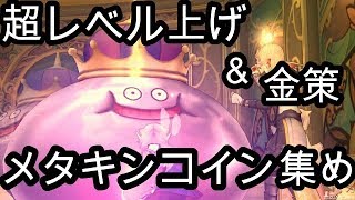 ドラクエ10実況『メタキンコイン入手＆金策法。天地雷鳴士が来る前に、超レベル上げ準備！』