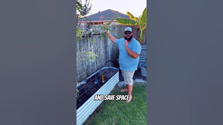 My Top 5 Backyard Gardening Essentials!