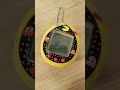 Pac Man Tamagotchi Death 