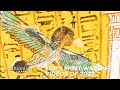 Ancient Egypt and Royal Insights