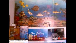 Ev Oda Duvarlarina Manzara Resi̇mleri̇