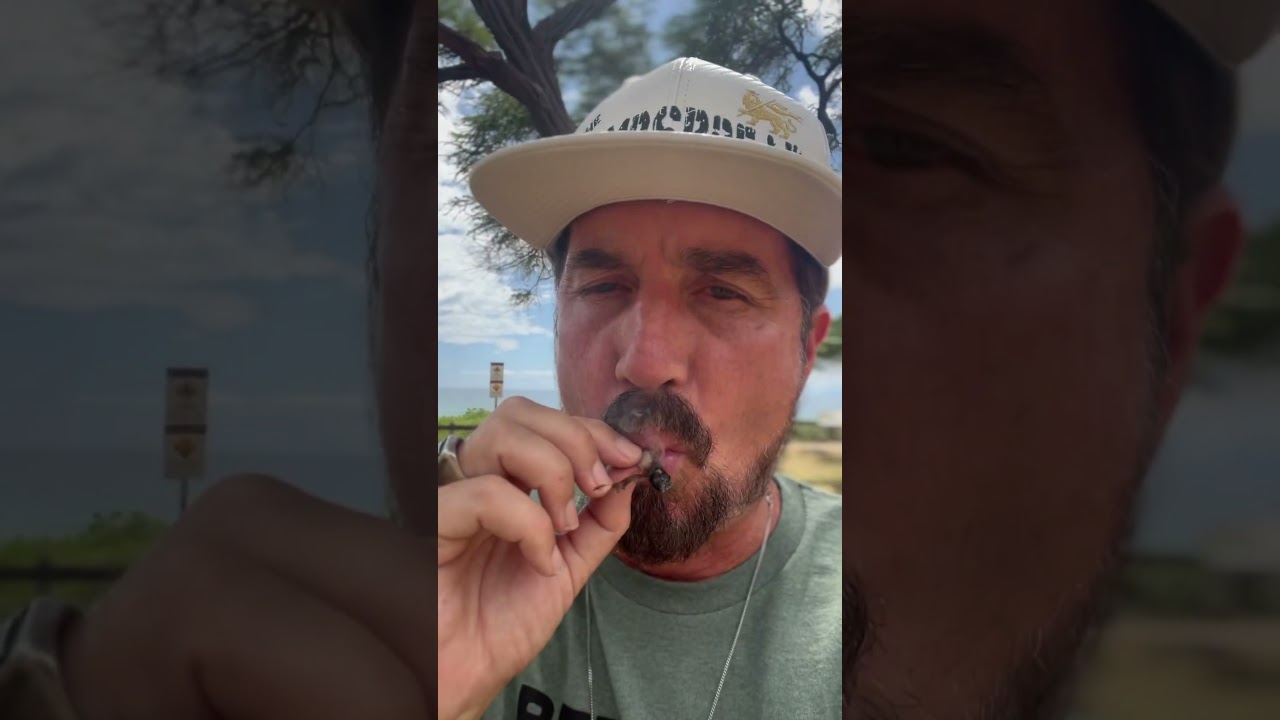 Blaze it up 🔥💨💨💨 