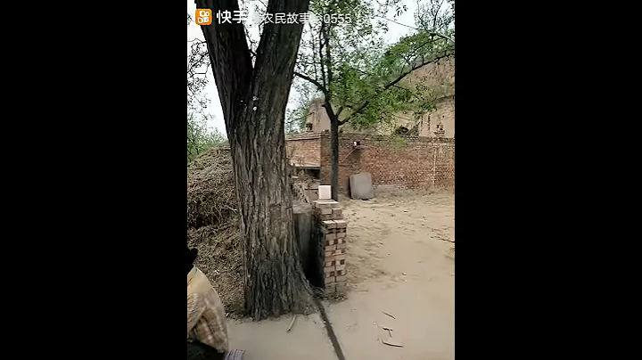中國山西呂梁臨縣窯洞人家 - 天天要聞