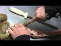 Testa Tuesdays Tips Deer Foot Gun Rack Testa Tuesdays Tips Deer Foot Gun Rack