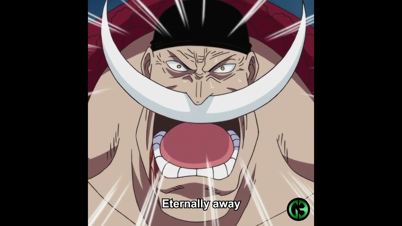 【mnem】Bara Flare One Piece One Piece Portrait Of Pirates Neo-Maximum The Only God of