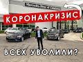 Коронакризис | Сокращение на дилерской?