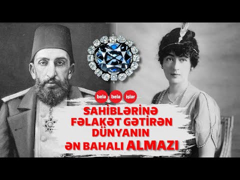 Video: Avtomobillərdə sıxışan itlər: qeyri -adi foto kolleksiyası