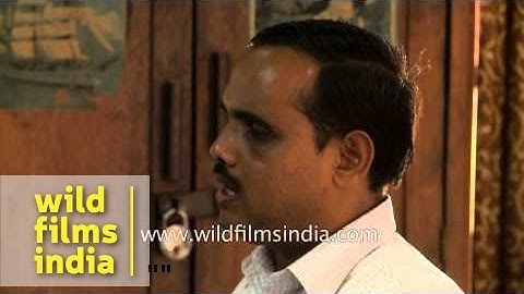 Certified Braille transcribers and proofreaders at Central Braille press