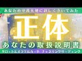 【🕊神回🕊】あなたの取扱説明書📕✨お届けしますfrom👼~あなたの正体、資質、個性、得意・不得意、人生テーマetc~