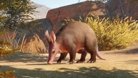 planet zoo speedbuild aardvark habitat made by lars bezemer