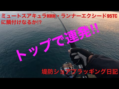 Carpenter(カーペンター) SeaFrog(シーフロッグ)evoⅡ 105使用インプレ ...