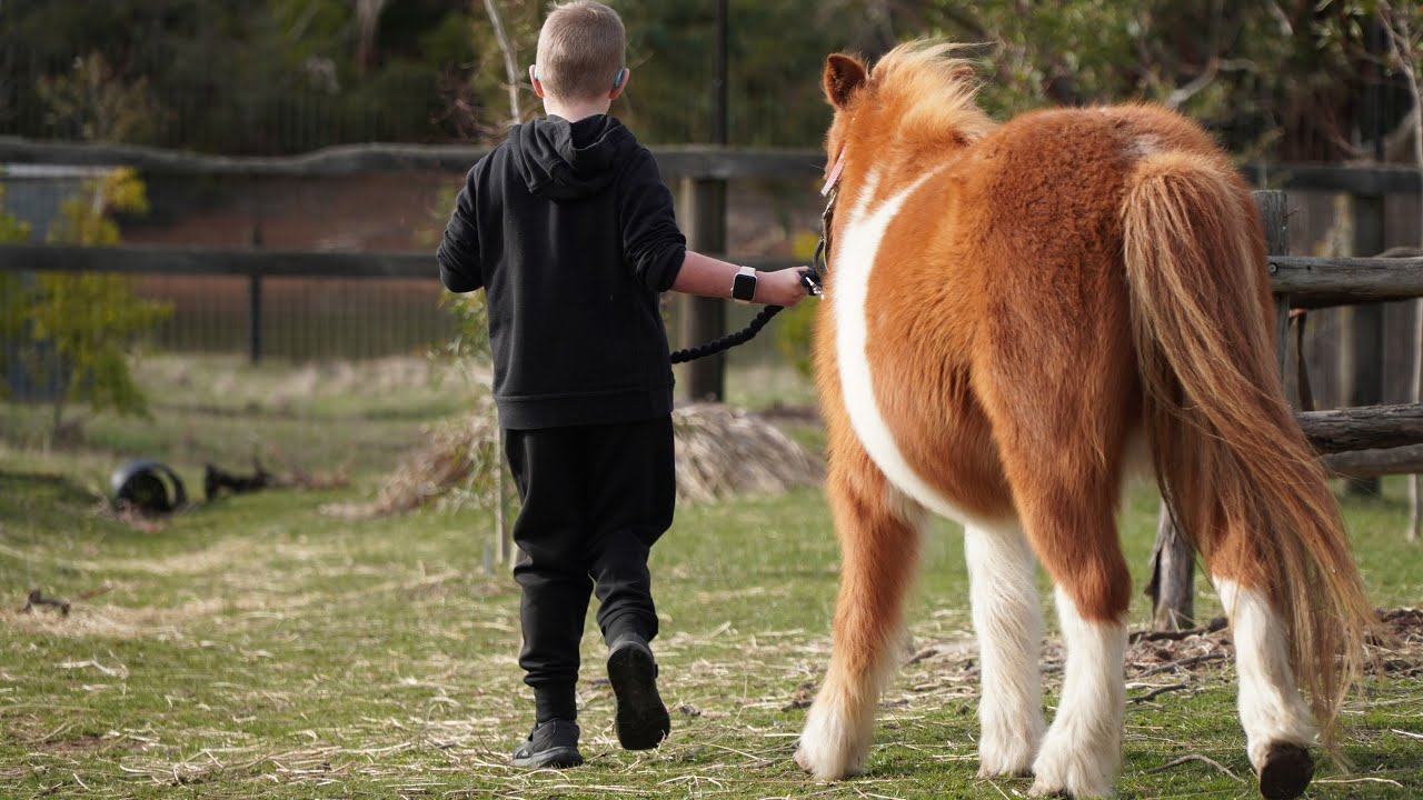 The Funky Far: The healing place