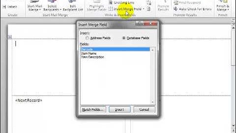 BarCodeWiz ActiveX Control - Create Barcode labels in Microsoft Word with Mail Merge