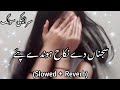 Sajna De Nikah Hondy Paye Slow Reverb سجناں دے نکاح TikTok Trending Saraiki Viral Songs