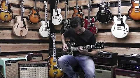 FGN Guitars Neo Classic LS 20 Limited Flamed Transparent Black von Rockland Music