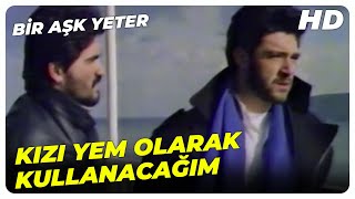 Bir Aşk Yeter - Reis Gibi İtlerle Çalışmam! | Songül Ülkü Hakan Ural Eski Türk Filmi