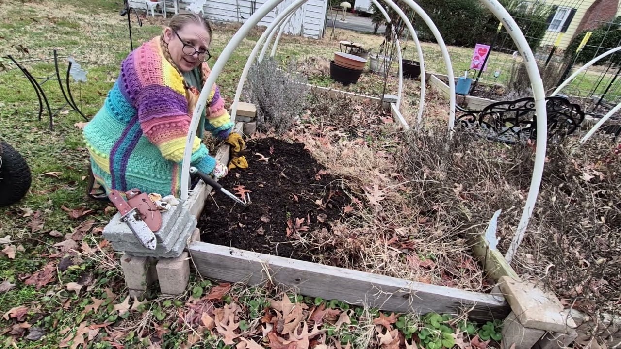 2026.02.21 Crabgrass Removal