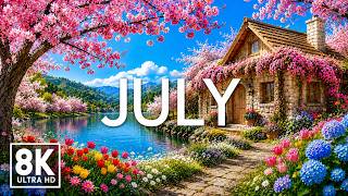 June 2026 – Summer Paradise 8K 🌸 Endless Flower Fields & Nature's