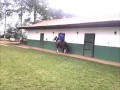 CARRASCO DO VALE VERMELHO 39 MESES PROMESSA PARA NACIONAL 2014 