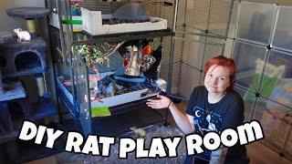 DIY RAT PLAY ROOM 🐁